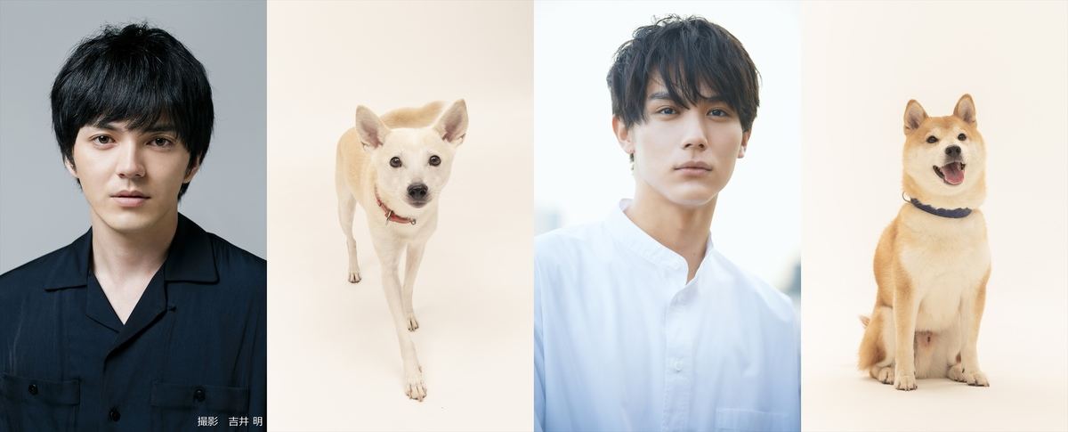 林遣都 中川大志 犬バカ 役 映画 犬部 愛犬 愛猫登場のチャンスも マイナビニュース