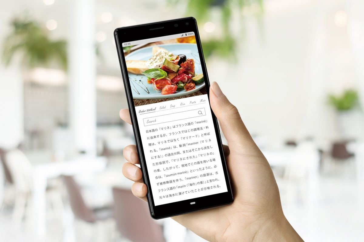 ソニーモバイル、3万円台のSIMフリースマホ「Xperia 8 Lite」9月発売 ...