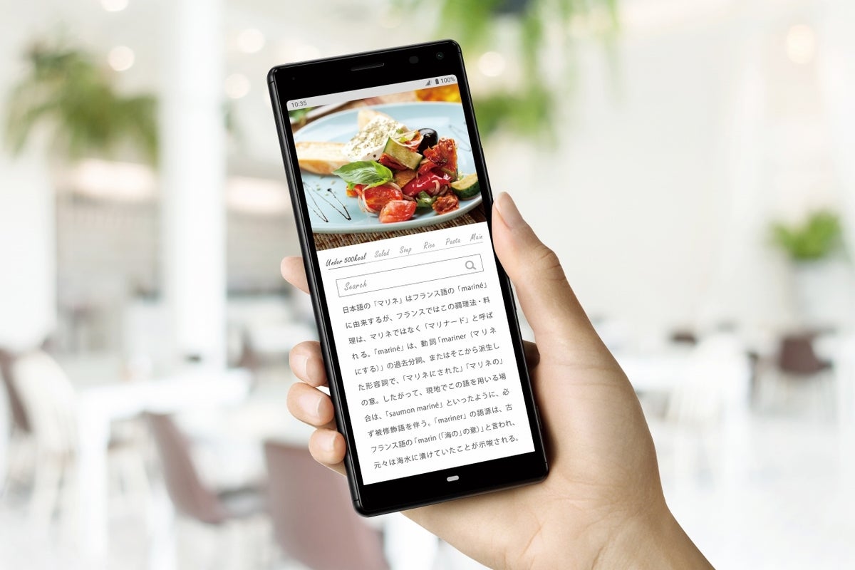 ソニーモバイル、3万円台のSIMフリースマホ「Xperia 8 Lite」9月発売 | マイナビニュース