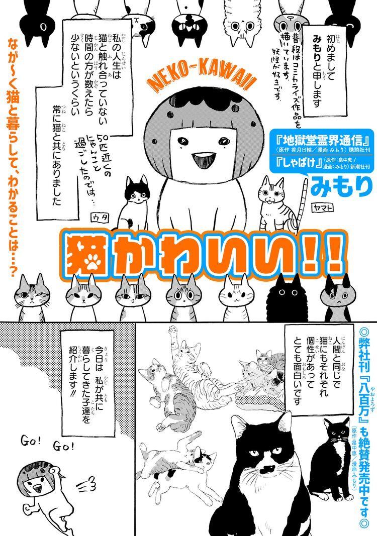 人生が常に猫とともにあったみもりが 猫かわいい を叫ぶ読み切り マイナビニュース