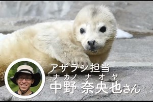 オンライン動物園をマルチアングル動画で巡る、ツアーやクイズも