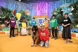 中居正広、『どうぶつな会』で大型犬と触れ合う「本当に大丈夫なの!?」