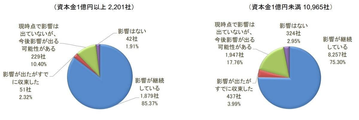 新型コロナウイルスの発生は、企業活動に影響を及ぼしていますか？