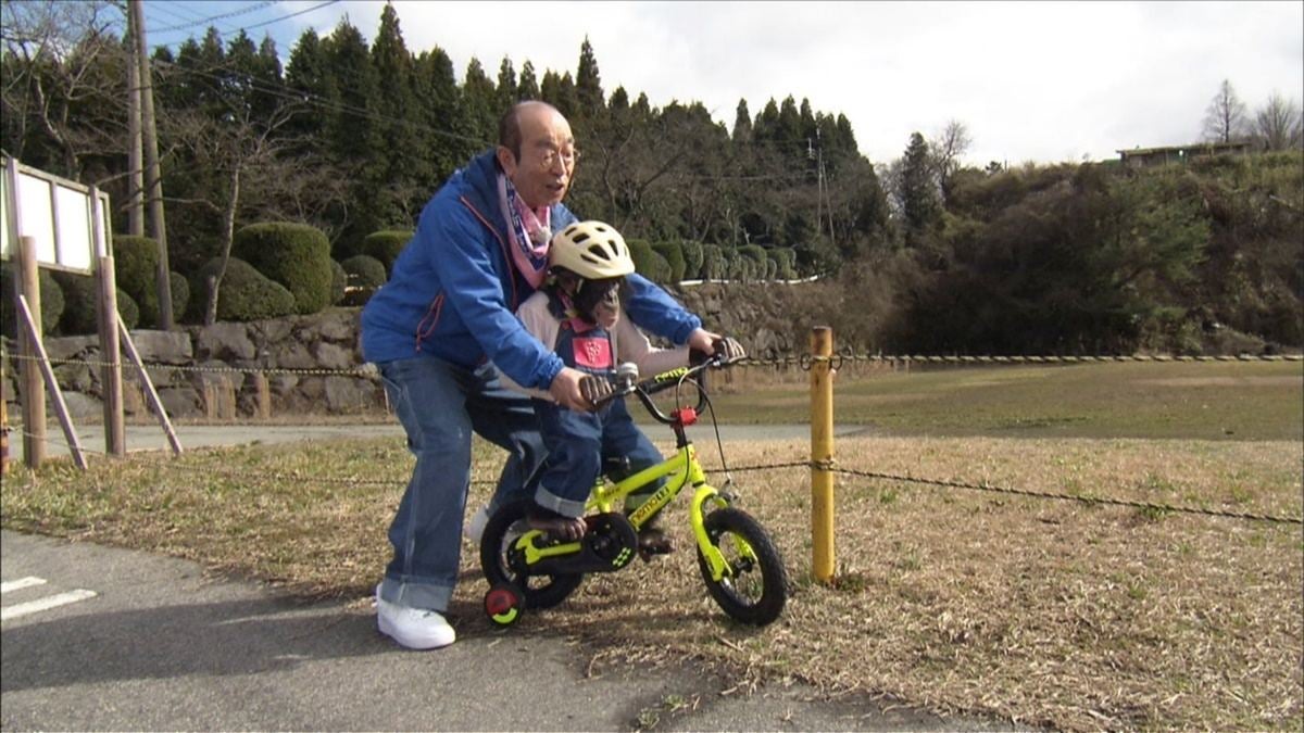 志村どうぶつ園 今夜最終回 志村けんさん最後のロケ映像初放送 マイナビニュース