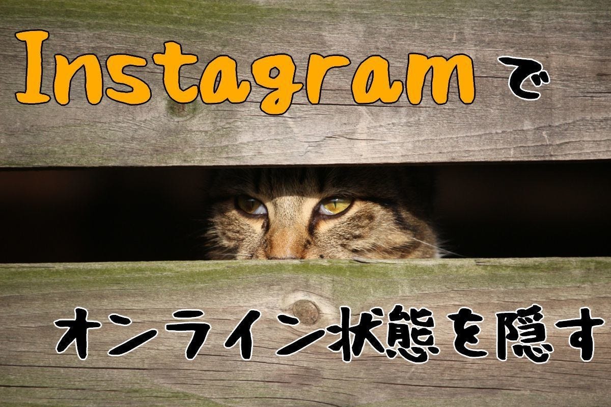 Instagramでオンライン状態を隠す方法 マイナビニュース