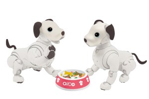 aiboが同じ皿のメシを食べて「なかま」になれる新機能、値引きキャンペーンも