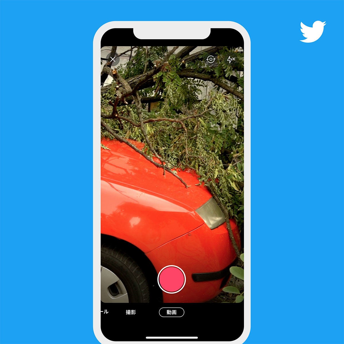 Twitter 24時間で写真 動画 テキストが消える新機能 フリート マイナビニュース