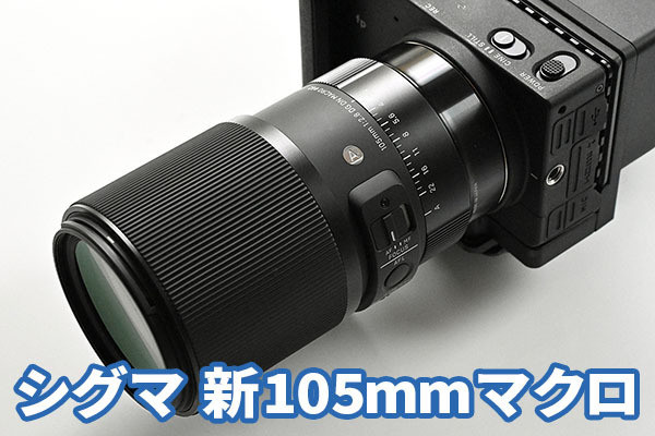 シグマ「105mm F2.8 DG DN MACRO」レビュー 圧巻の描写力を誇る中望遠