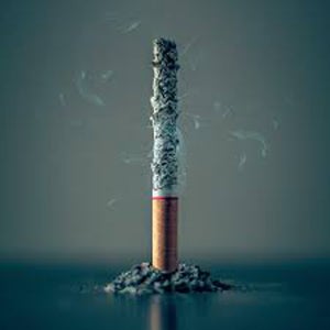 2019～2024年、世界の紙巻たばこ市場は成長 - ブルガリアなどで喫煙率上昇