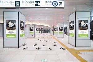 京成電鉄「ありがとう! シャンシャン企画」京成上野駅に特別装飾も