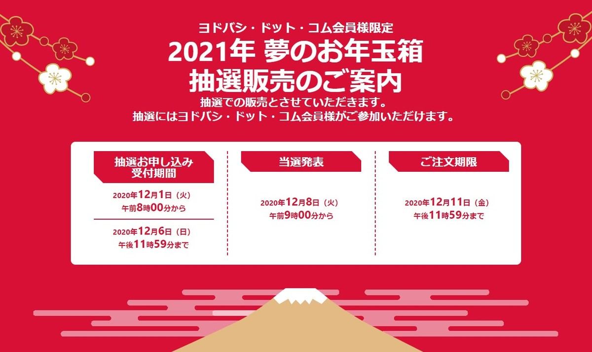 ヨドバシ 21年 夢のお年玉箱 の受付開始 抽選結果は12月8日に マイナビニュース