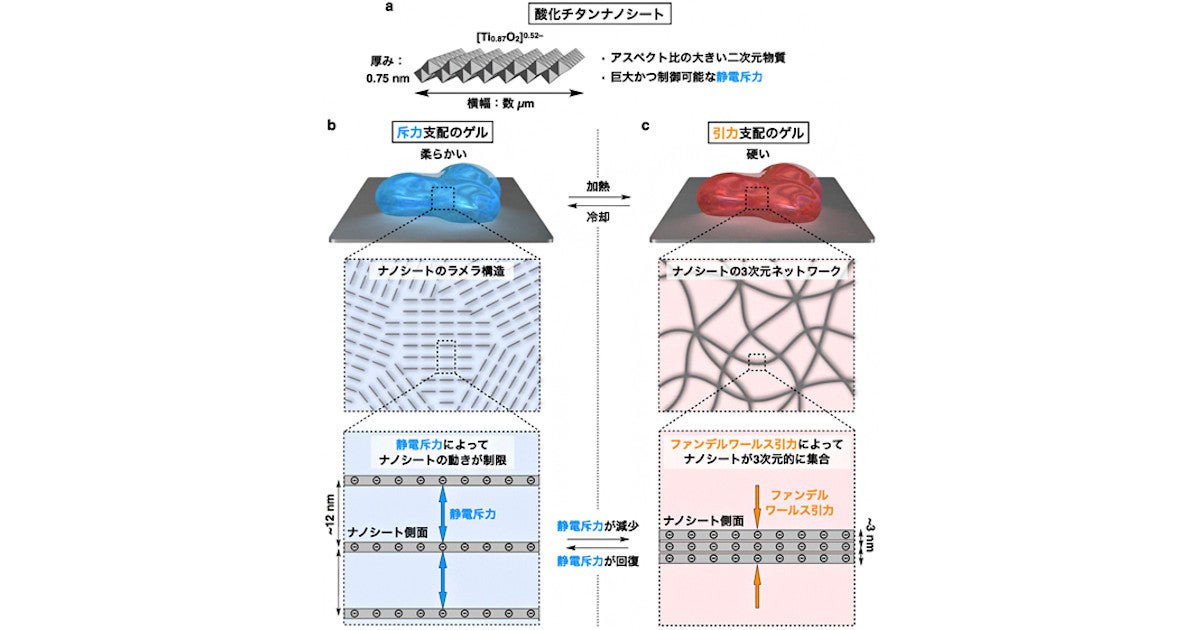 生物のように柔らかさと硬さを可逆的に変化させるハイドロゲルを理研が開発 Tech