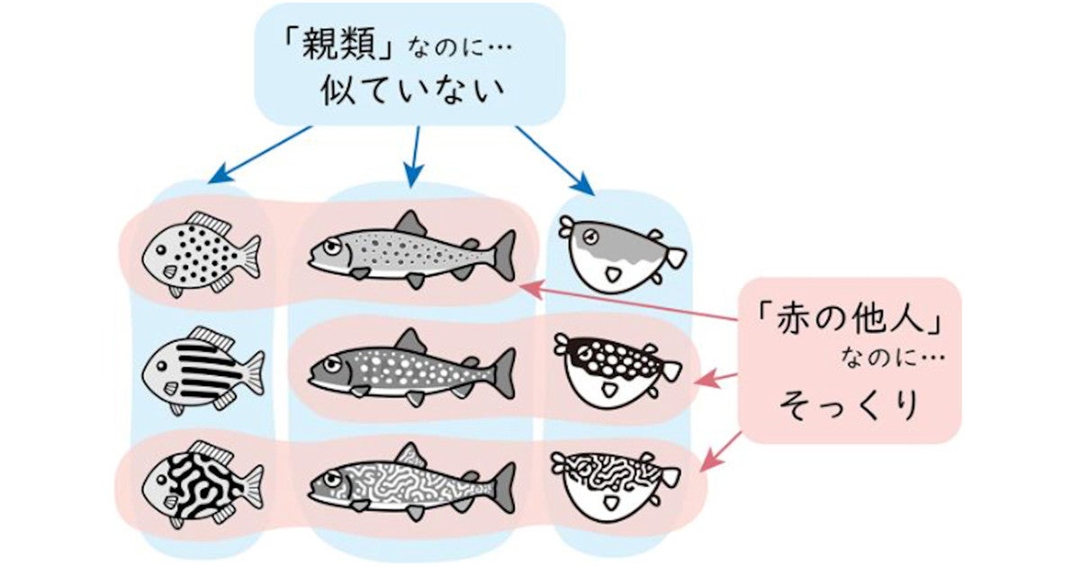 明るい斑 暗い斑 迷路模様 動物の複雑な模様が生まれた仕組みが判明 マピオンニュース