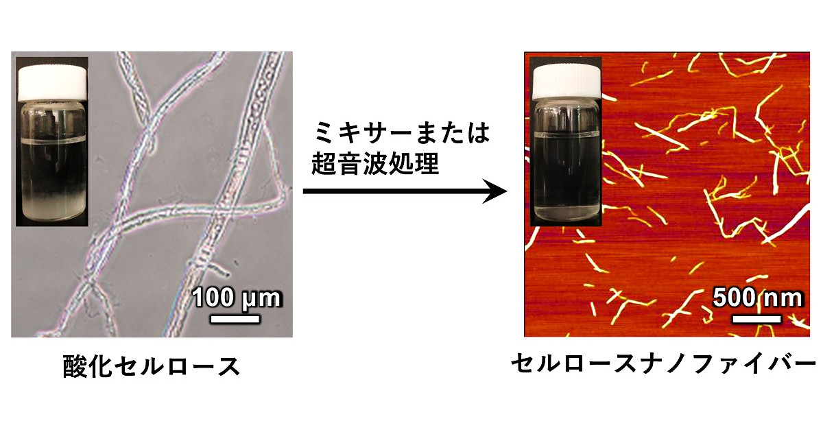 水と漂白剤だけでセルロースナノファイバーを生成する技術 東大などが開発 Tech