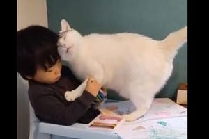 【絶対にあきらめない…!】お絵描きを邪魔しまくる猫と2才児の優しさに「可愛いすぎでしょ」「永遠見てられる」とTwitterメロメロ