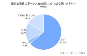 公務員 ボーナス カット