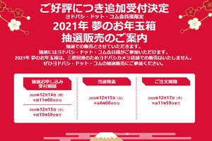 ヨドバシ「2021年 夢のお年玉箱」が追加販売！ 一番人気はミラー ...