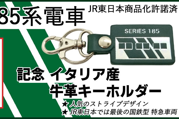 ユーロ安JR東日本 東海道線(踊り子号) 記念キーホルダー20種類 コンプ 