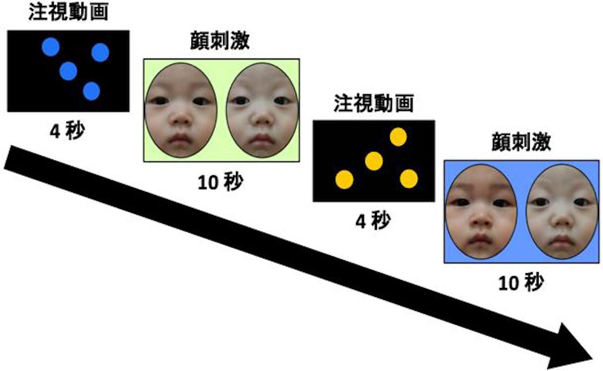 生後12か月の赤ちゃんでも自分と他者の顔を見分けていることが判明 九大 Tech