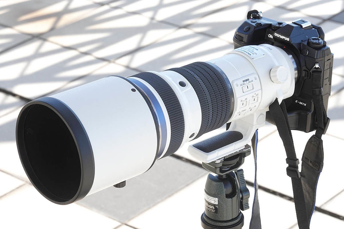 オリンパス 150 400mm F4 5 E M1x レビュー 鳥肌モノの鳥認識afに胸キュン マイナビニュース