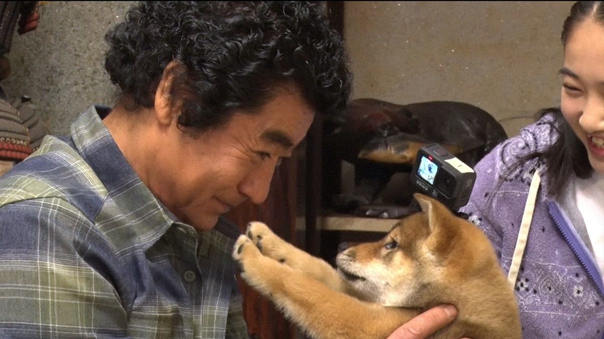 櫻井翔 相葉雅紀が犬のレスキューへ ボロボロな状態からトリミング マイナビニュース