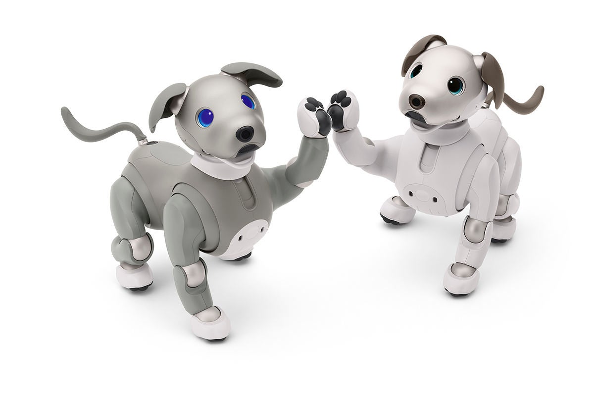 SONY AIBO ERS-1000 限定特別色モデル おもちゃ その他 おもちゃ