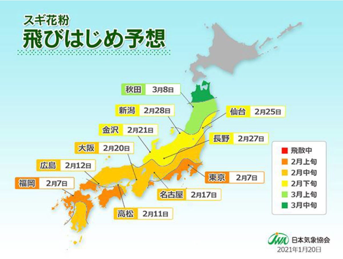 スギ花粉の飛散は2月上旬から 早めの対策が大切 日本気象協会発表 マイナビニュース