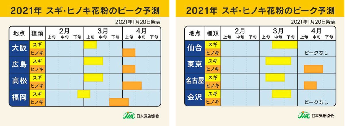 2021 スギ 花粉