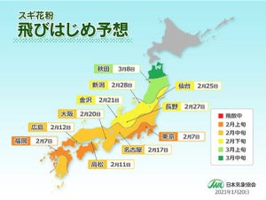 スギ花粉の飛散は2月上旬から「早めの対策が大切」 - 日本気象協会発表