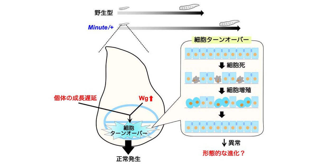 と ターン は オーバー