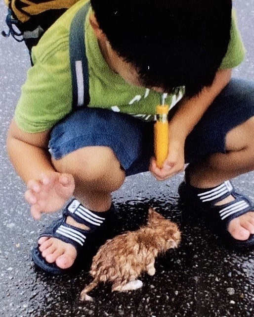 【驚き】台風が近づく日に拾った子猫、10年経った今どうなった 