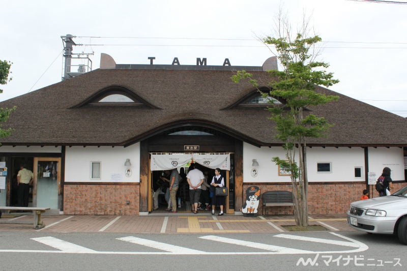 和歌山電鐵 たま駅長2 ニタマ が昇進 執行役員ウルトラ駅長に マイナビニュース