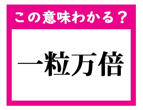 この意味わかる 一粒万倍 デキる社会人ならわかる四文字熟語クイズ マピオンニュース