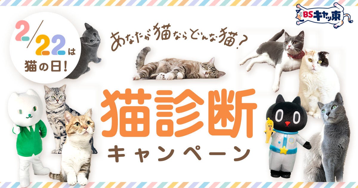 Bsテレ東 猫の日は Bsキャッ東 中川翔子 岩井勇気ら 猫好き芸能人集合 マイナビニュース