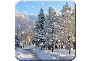 【毎日がアプリディ】もうすぐ終わる冬を惜しむ雪がしんしんと降るライブ壁紙「冬の雪ライブ壁紙無料（PRO）」