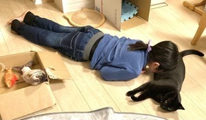 【スーハー】全力で“猫吸い”する女の子の様子が可愛すぎてツイッターで大人気 - 「ほのぼのしますね」「このフォーム天才」の声