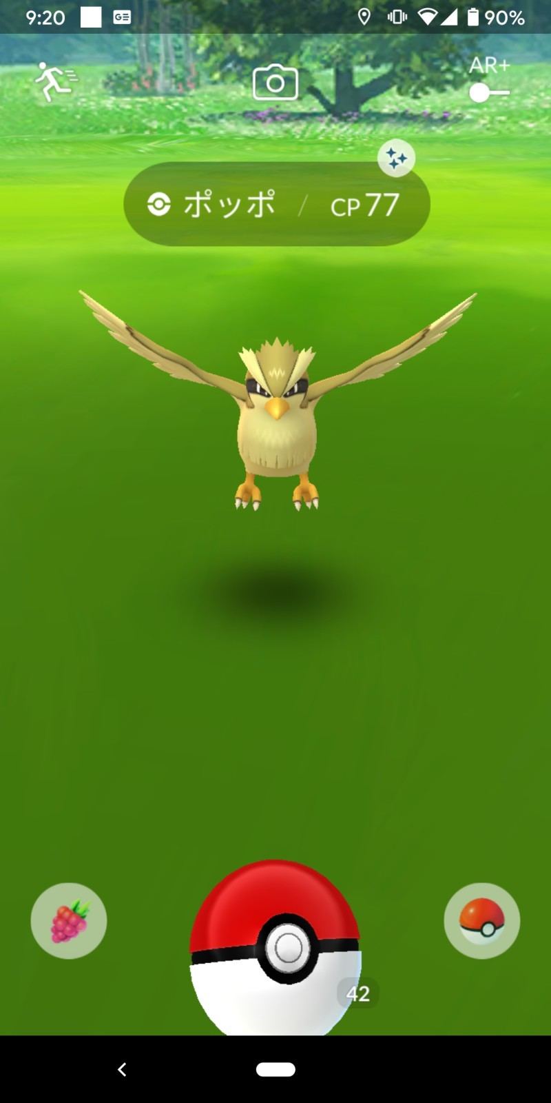 ポケモンGOツアー
