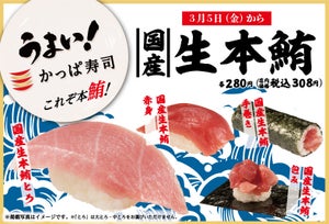 かっぱ寿司、10日間限定「国産生本鮪」を全店で入荷!