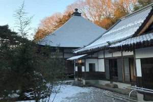 避難所で住職は見た＿犬猫も「同じ命」/陸前高田・正徳寺の140日