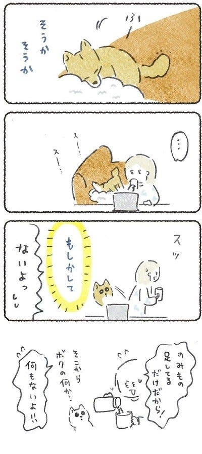 嬉しいやら困るやら 飼い主が立ち上がるたびに期待のまなざしを向ける犬 だめだ 可愛すぎる ほっこりする とツイッターで話題に マイナビニュース