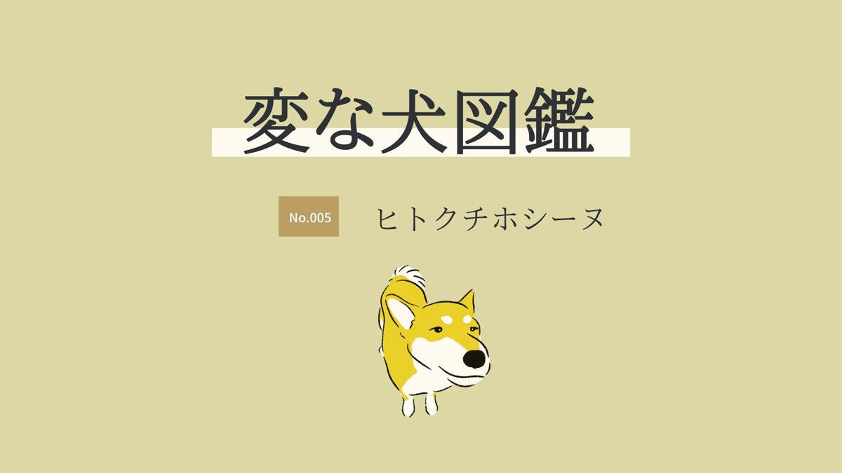 【変な犬図鑑】No.005 ヒトクチホシーヌ