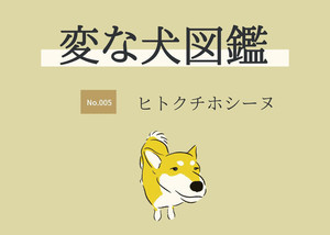 こっちでしょー 手品に大興奮する柴犬が可愛すぎ リアクション王 にやけが止まらない マイナビニュース