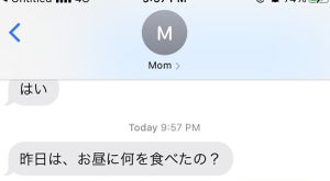 「昨日はお昼に何を食べたの?」京都出身の母から送られてきたメールの意味が難しいとTwitterで話題 - 「京都の人なりの思いやり」「ほんまあるある」