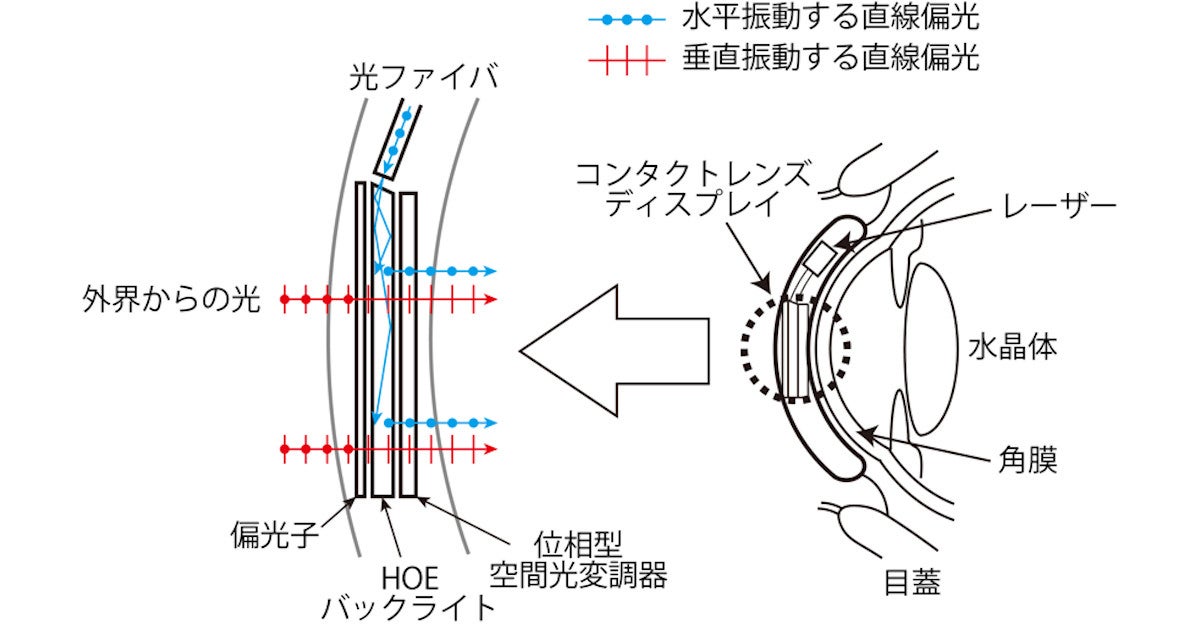 ホログラフィを利用したコンタクトレンズ型ディスプレイを農工大が開発 Tech