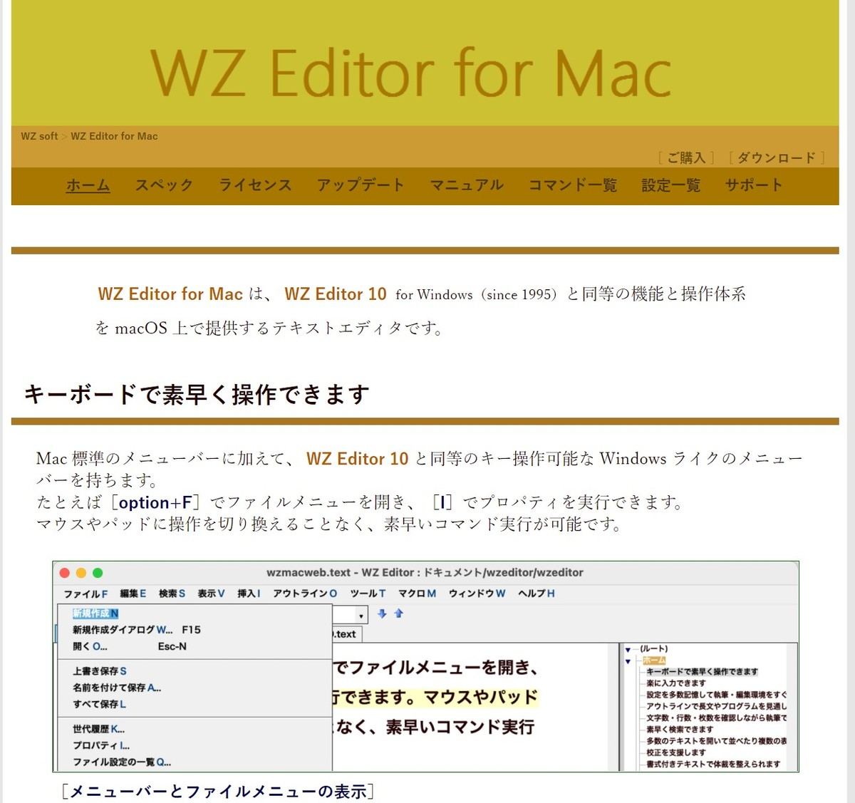 日本限定モデル】 WZソフトウェア WZ EDITOR 10 CD-ROM版