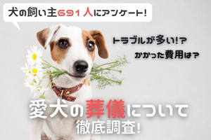 63%が「亡くなった愛犬の葬儀を実施」、最も多かった葬儀の方法・費用は?