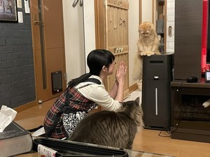 【ぴえん】洗面所に閉じ込められた猫。あまりの凹みっぷりに10万いいね -「ガチ凹みですやんw」「ちょー可愛い」とツイッターで話題に