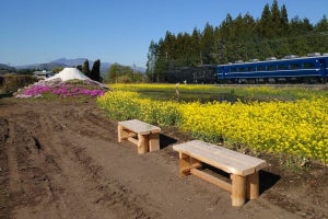 東武鉄道、社有林の間伐材で作ったベンチを沿線の希望者に寄贈へ
