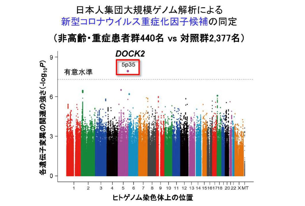 コロナ 血液 型 重症 化