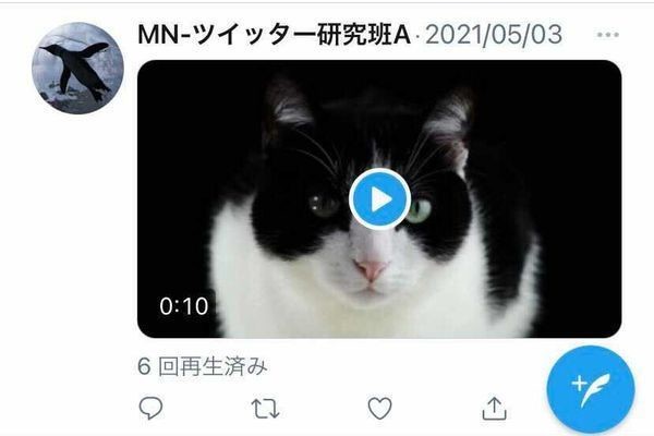 Twitterに動画投稿する方法 サイズや形式 アップロード手順を全解説 マイナビニュース